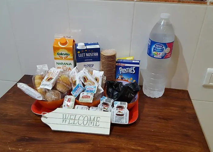 若斯雷欧尼公寓 巴塞罗那