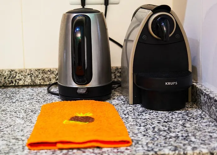 若斯雷欧尼公寓 巴塞罗那