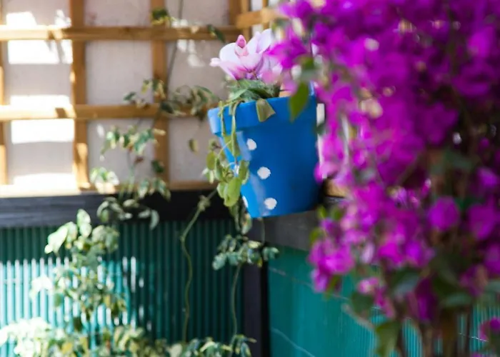 公寓 若斯雷欧尼公寓 *