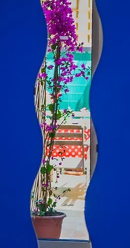 若斯雷欧尼公寓 公寓 *